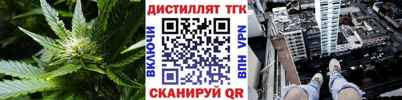 что такое   Волгоград  блэк спрут ссылка  ТГК вейп 